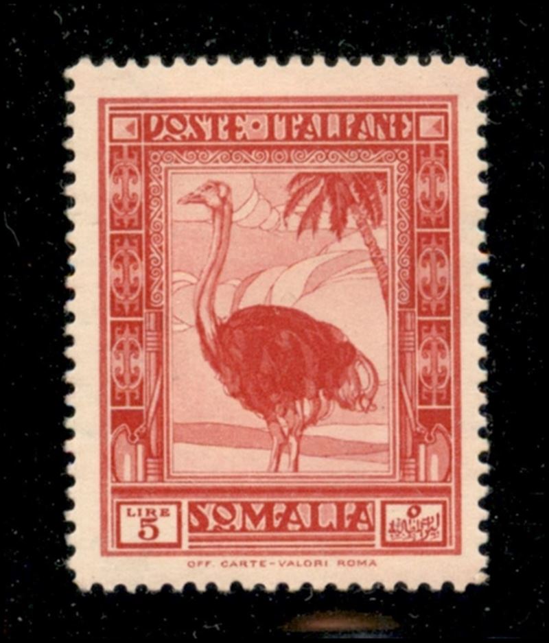 Italia / Colonie / Somalia / Posta Ordinaria