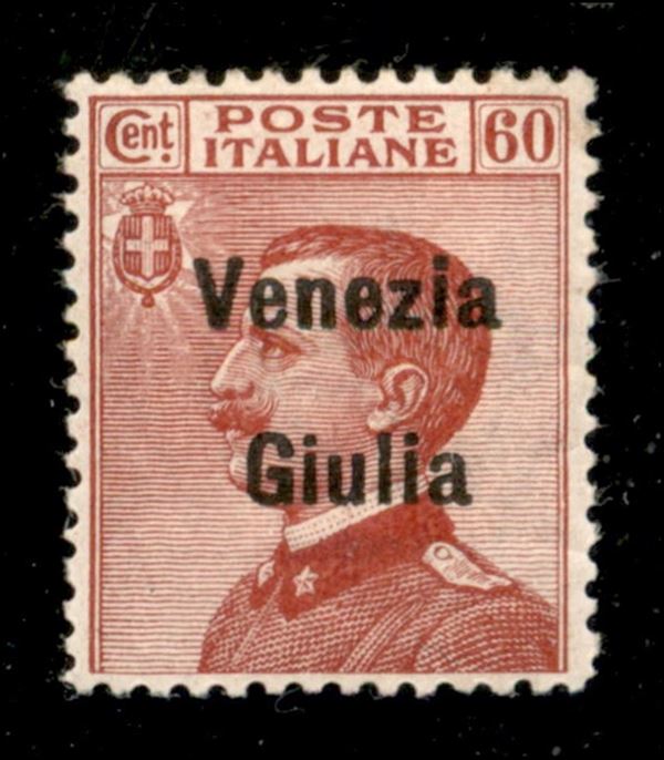 ITALIA / Occupazioni I guerra mondiale / Venezia giulia / Posta ordinaria