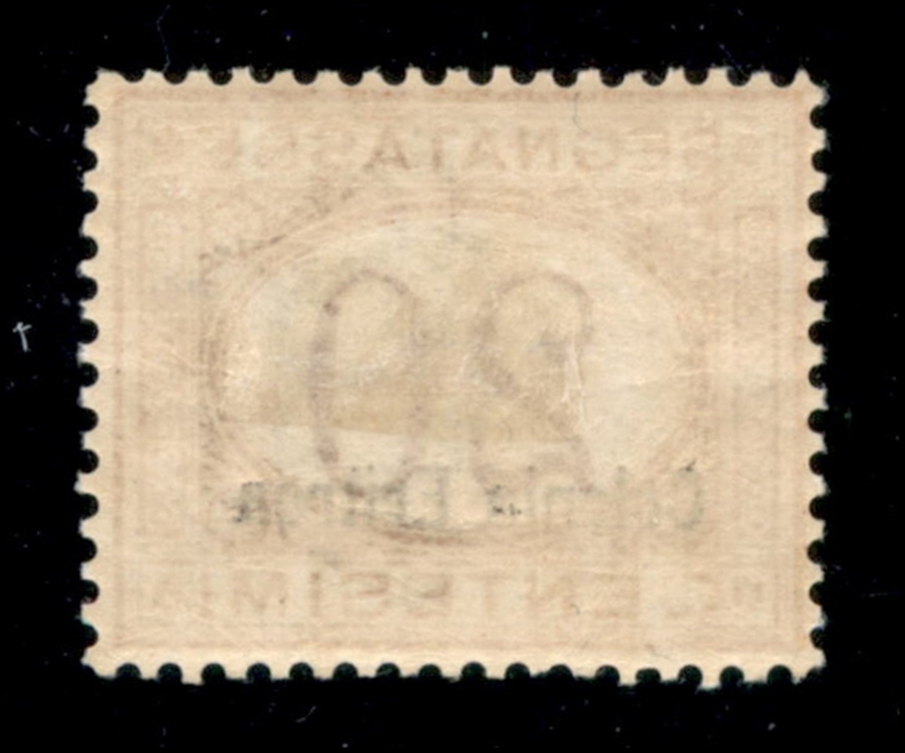 Italia / Colonie / Eritrea / Segnatasse