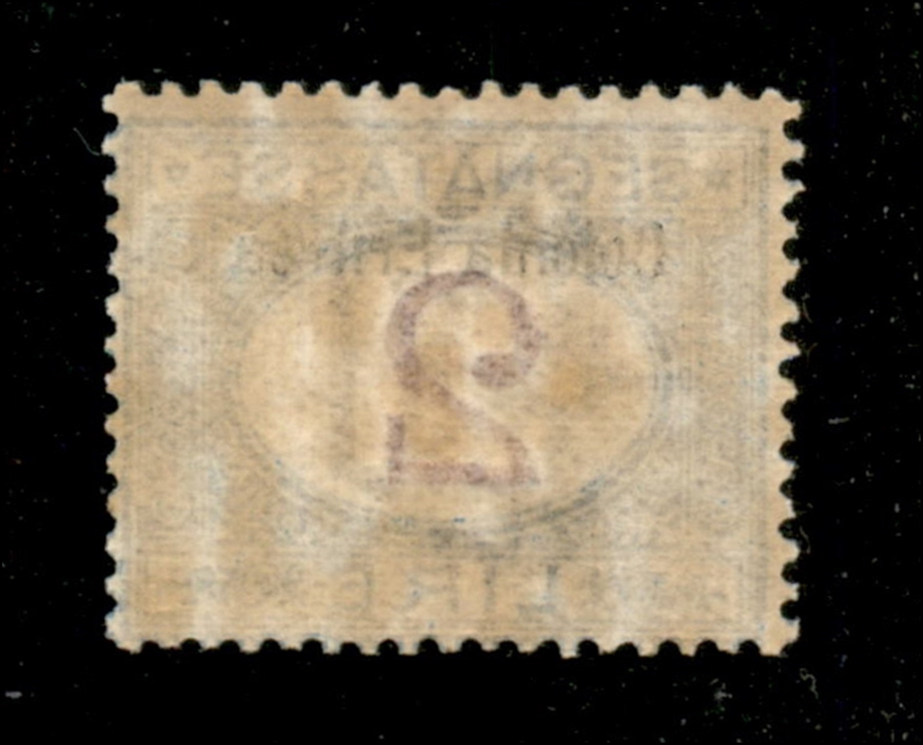 Italia / Colonie / Eritrea / Segnatasse