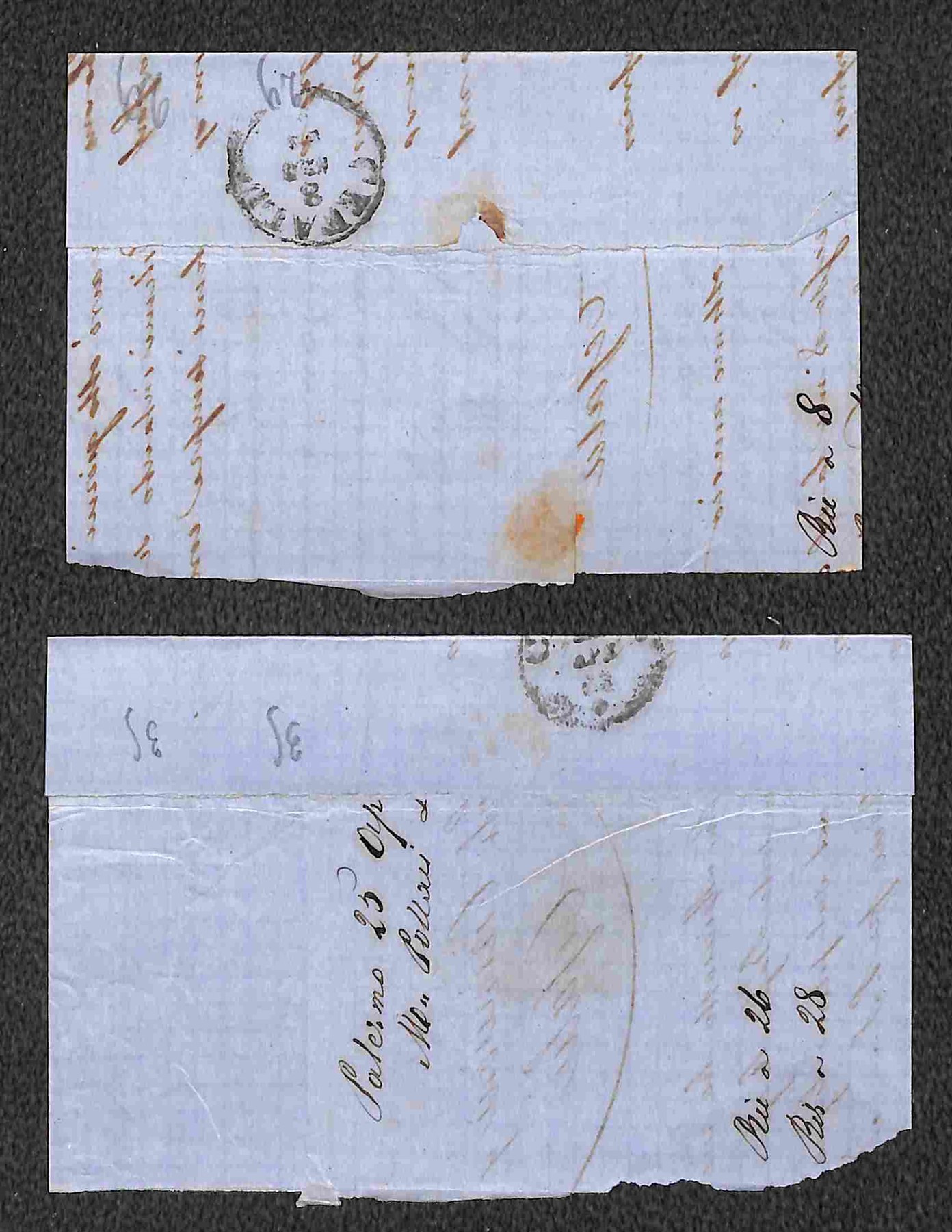 Italia / Regno / Vittorio Emanuele II / Posta Ordinaria