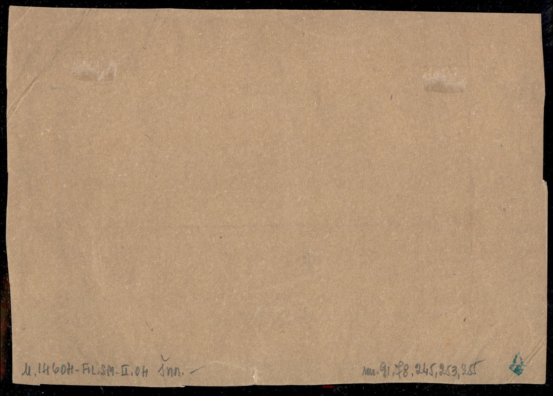 Italia / Regno / Vittorio Emanuele III / Posta Ordinaria