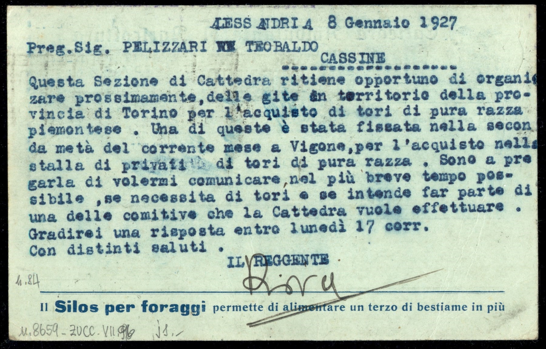 Italia / Regno / Vittorio Emanuele III / Posta Ordinaria
