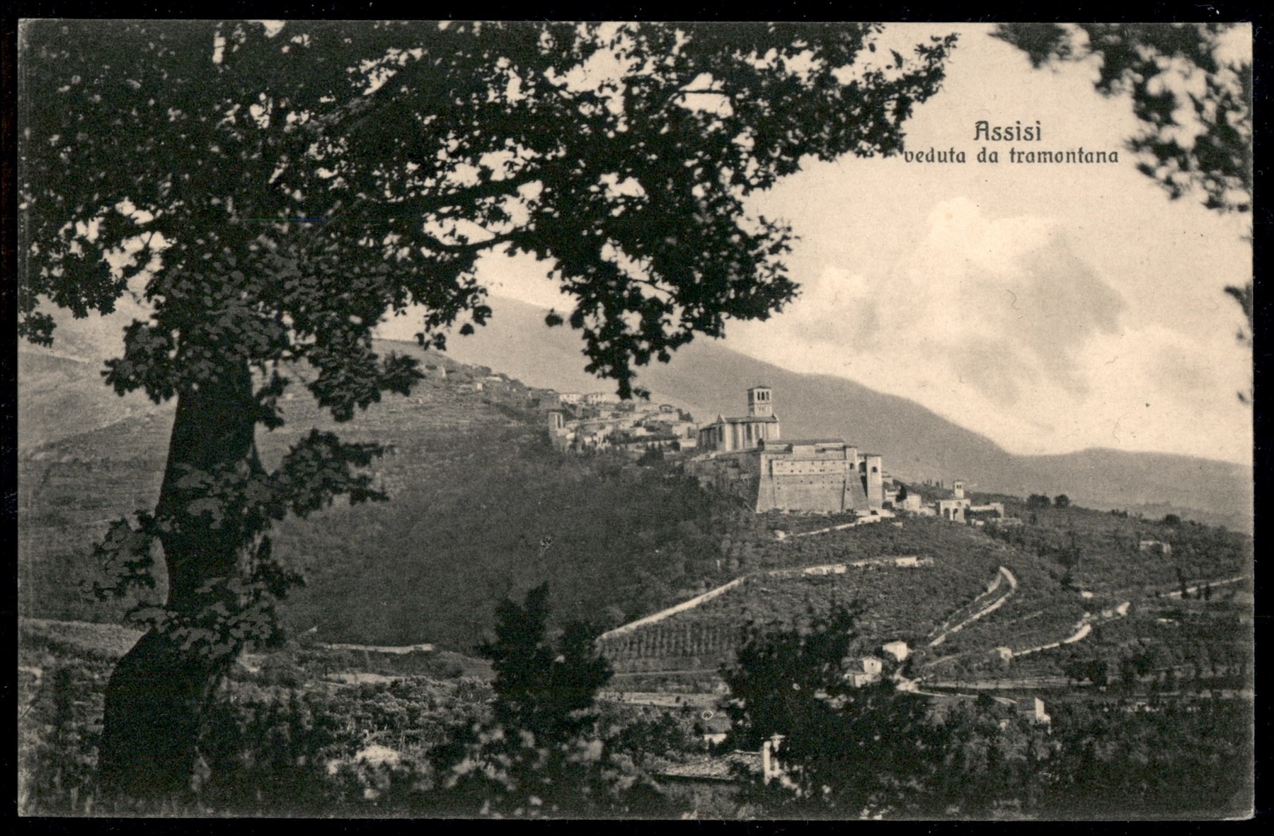 Italia / Regno / Vittorio Emanuele III / Posta Ordinaria