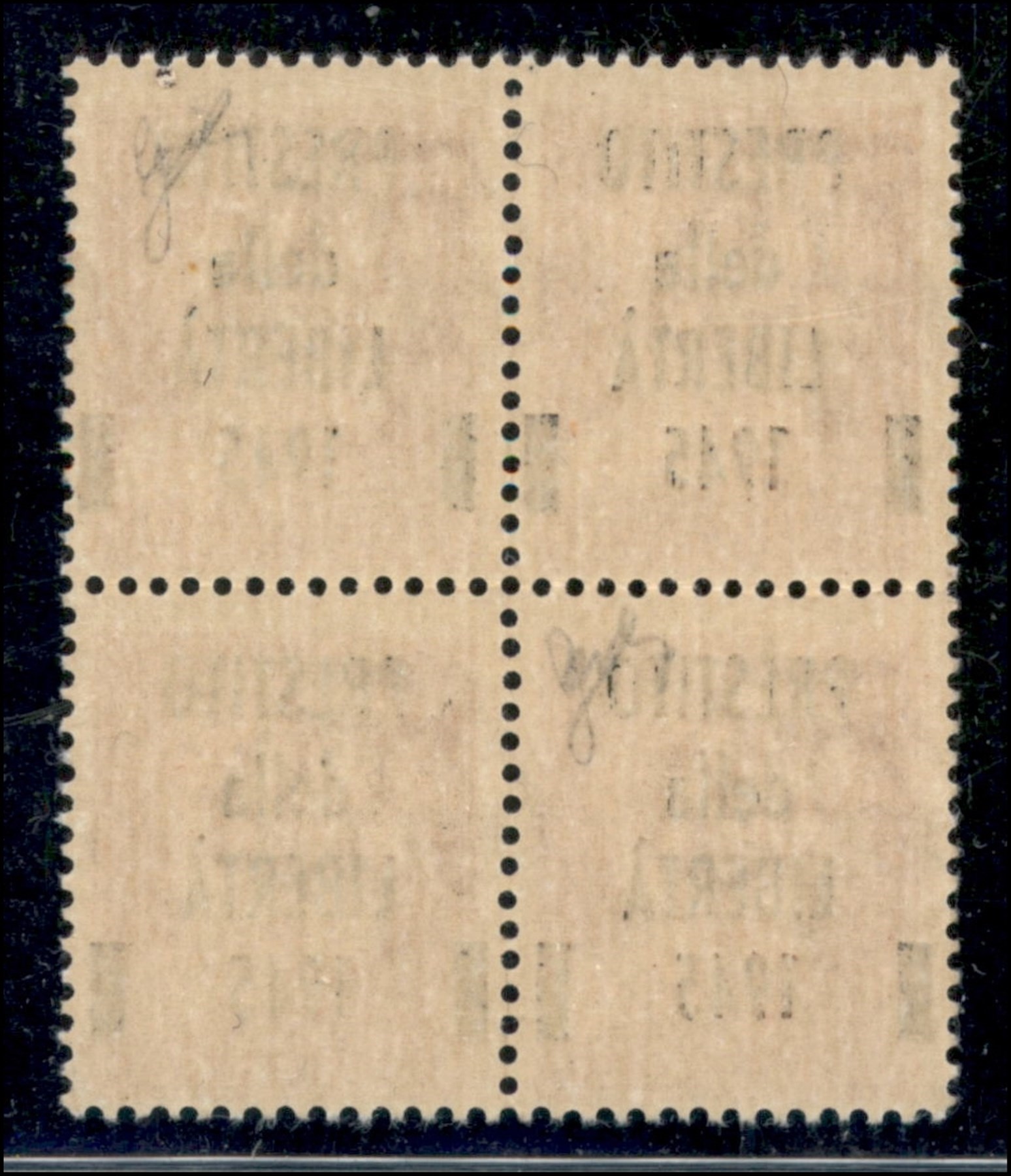 Italia / C.L.n. / Viareggio/lucca / Posta Ordinaria