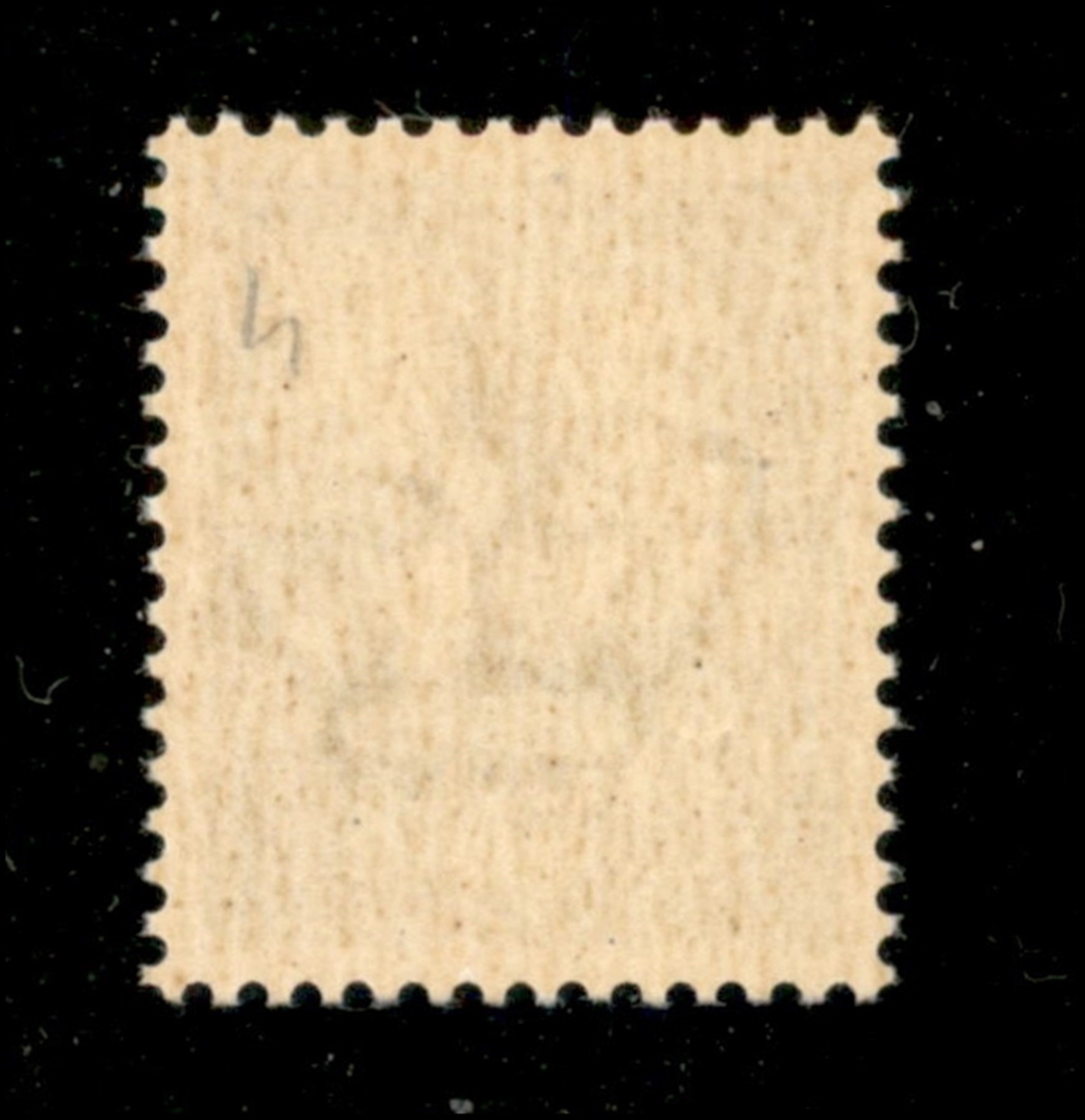 ITALIA / RSI / Verona / Saggi