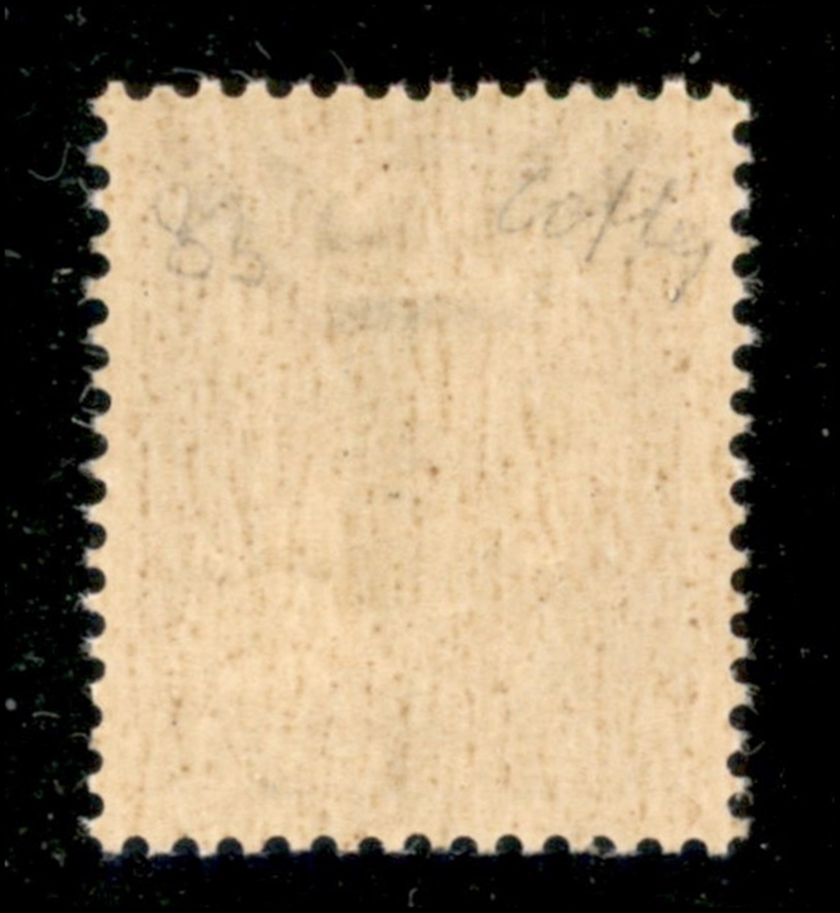 ITALIA / RSI / Verona / Saggi