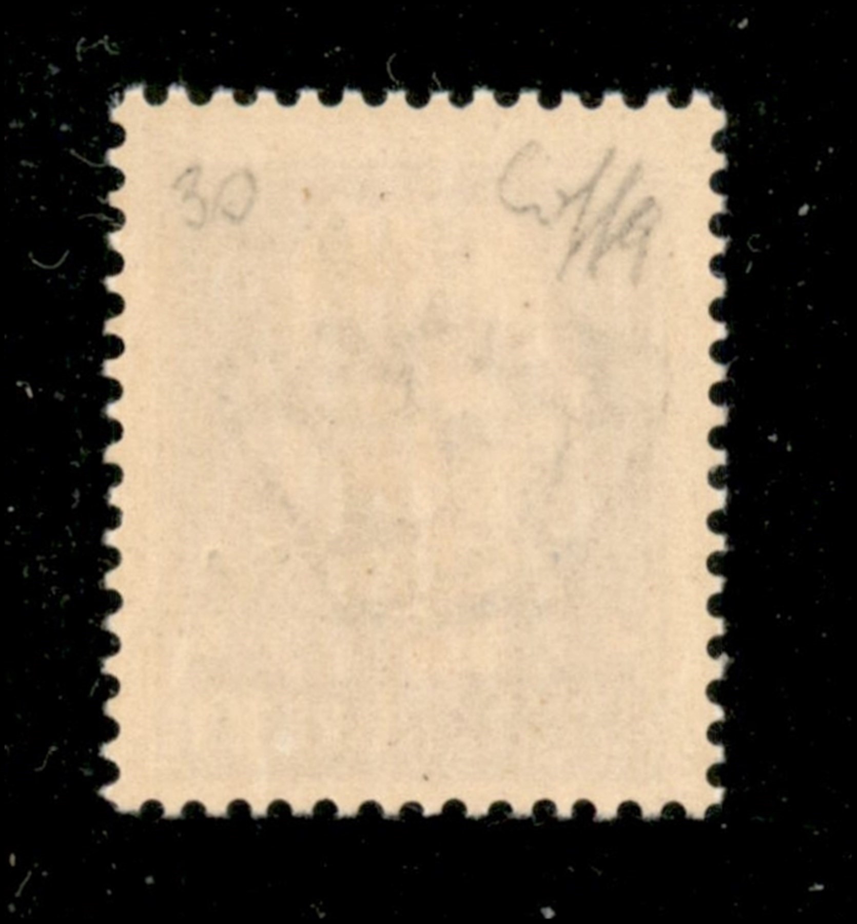 ITALIA / RSI / Verona / Saggi