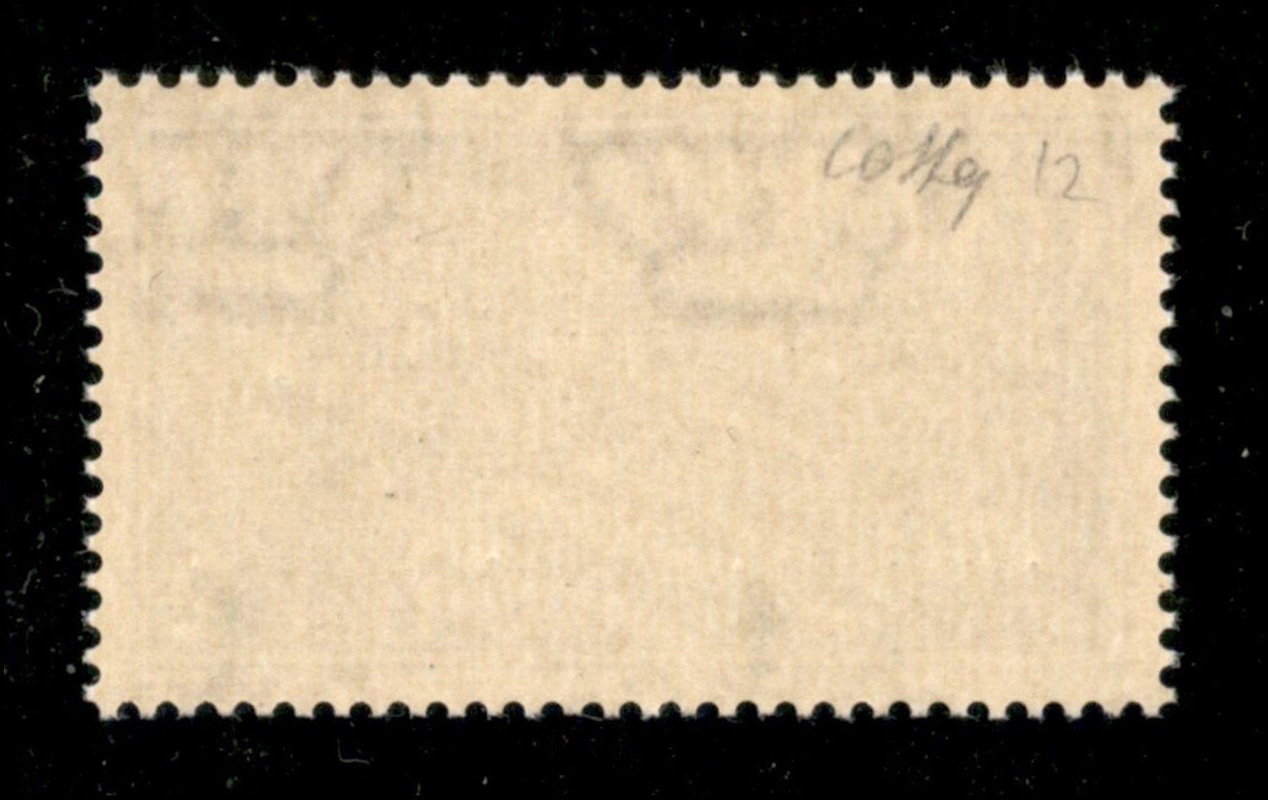 ITALIA / RSI / Verona / Saggi