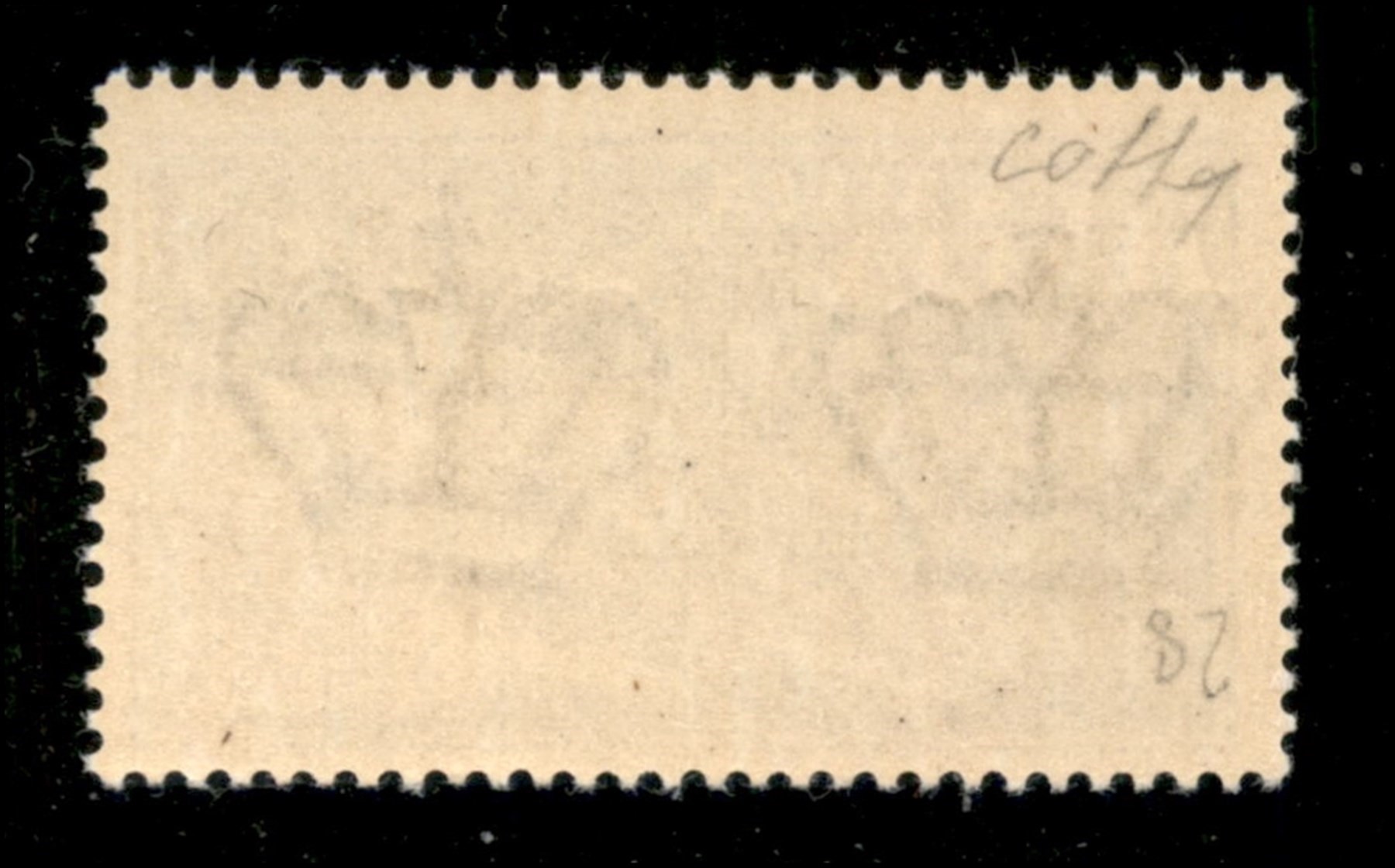 ITALIA / RSI / Verona / Saggi