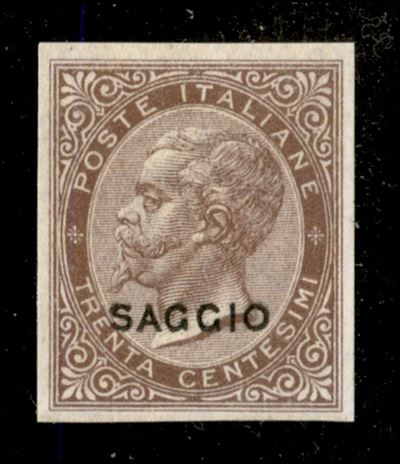 Italia / Regno / Vittorio Emanuele II / Saggi