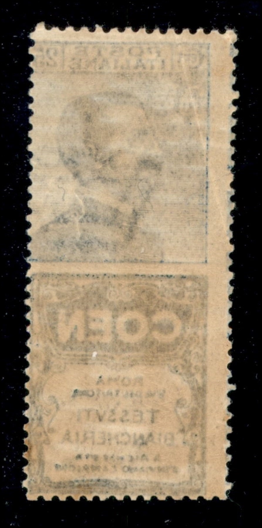 Italia / Regno / Vittorio Emanuele III / Francobolli Pubblicitari