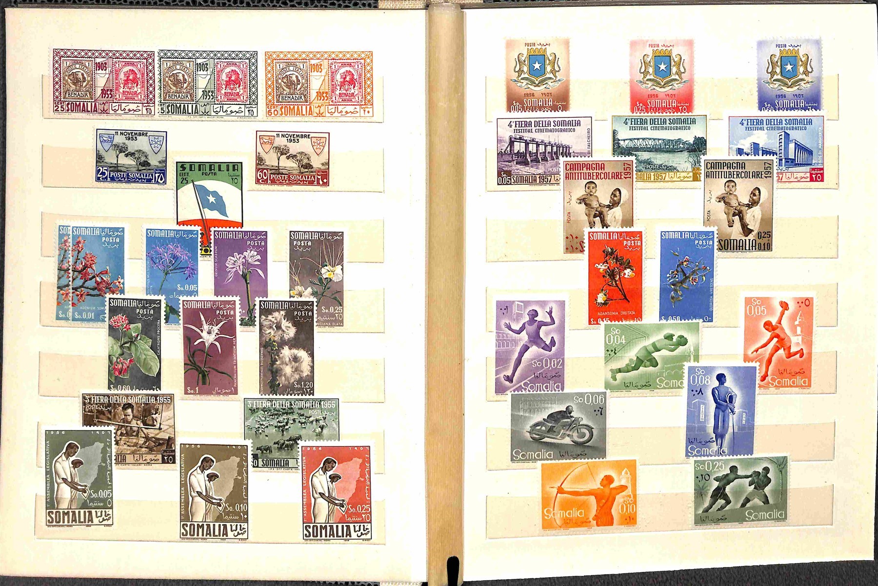 Italia / Colonie / Somalia a.f.I.s. / Posta Ordinaria