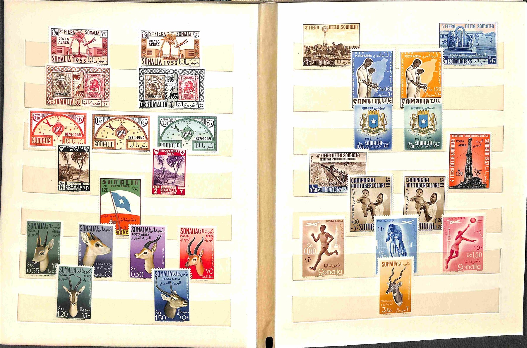 Italia / Colonie / Somalia a.f.I.s. / Posta Ordinaria