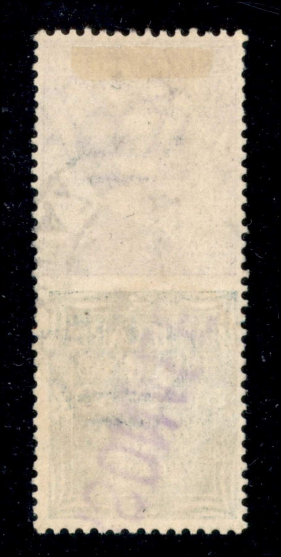 Italia / Regno / Vittorio Emanuele III / Francobolli Pubblicitari