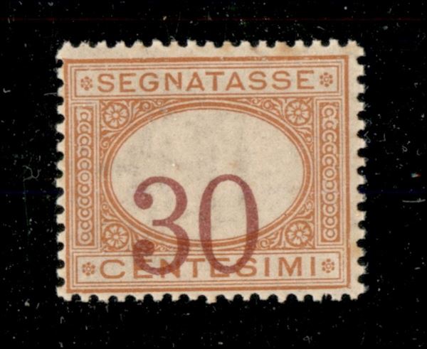1890 - 30 cent (23c) - cifre spostate - gomma integra - ottimamente centrato