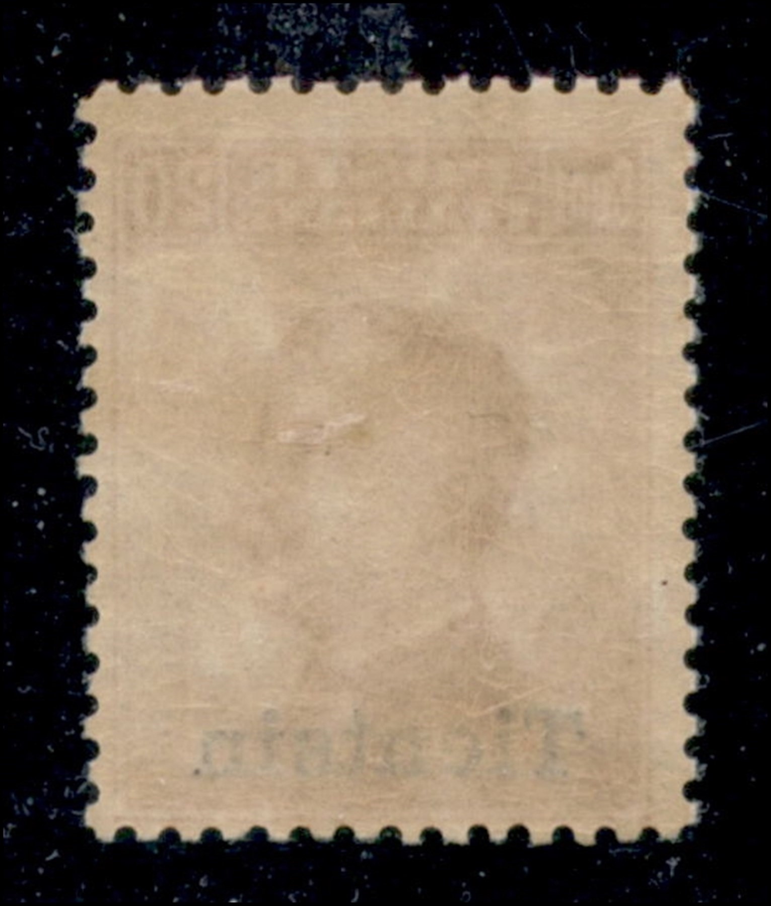 Italia / Uffici Postali All'estero / Levante / Tientsin / Posta Ordinaria