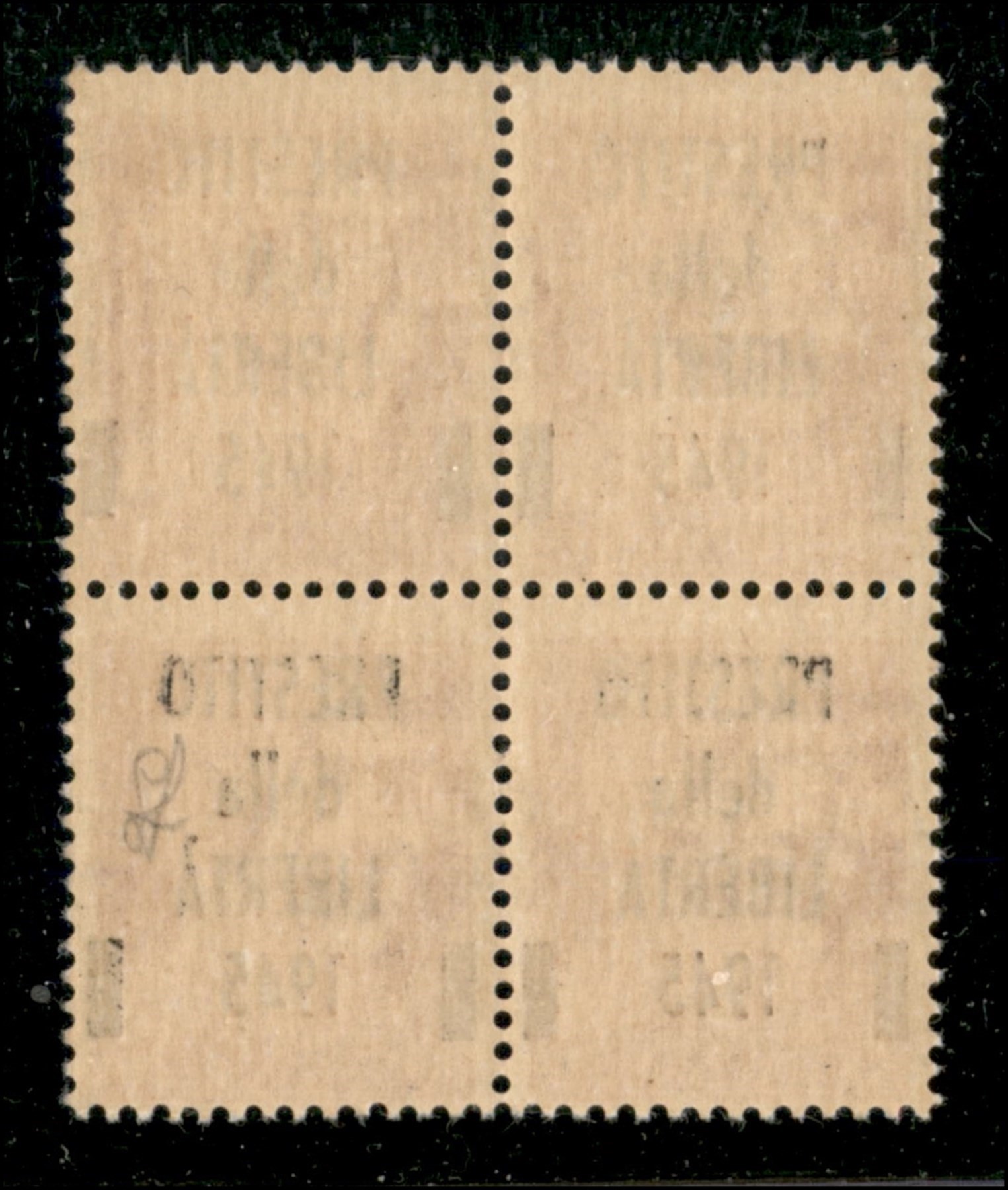 Italia / C.L.n. / Lucca / Posta Ordinaria